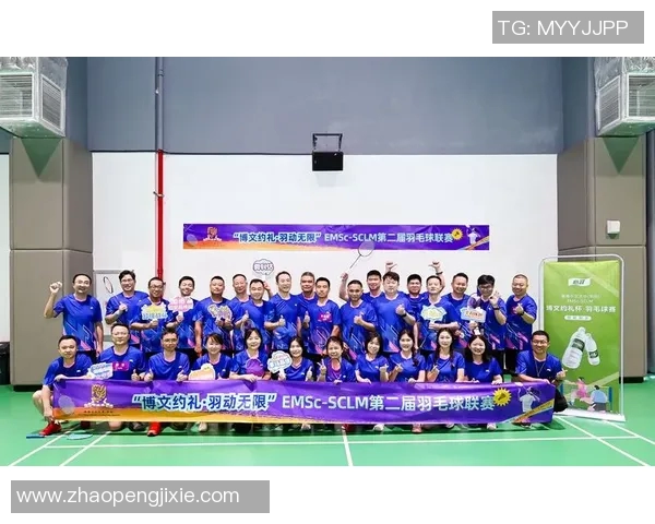 深圳羽毛球队状态对比深度解析及未来发展趋势探讨