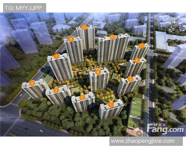 南京排球队阵地战分析:优劣势与未来发展方向探讨