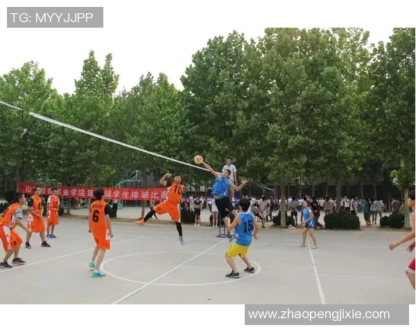 南京排球队在精英赛中的意识表现分析与反思 南京排球队在精英赛中的意识表现分析与反思