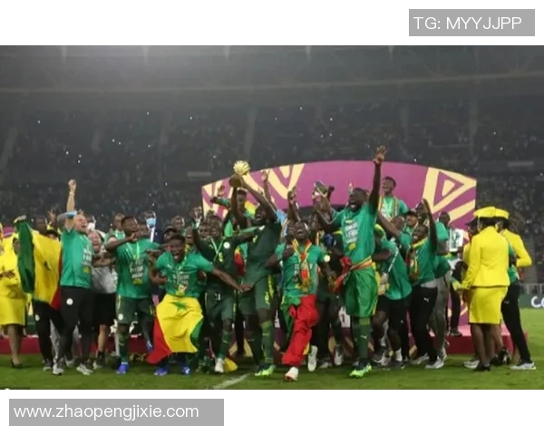 喀麦隆足球明星球员排名及其在国际赛场上的影响力分析