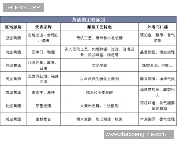 西安篮球队在钻石联赛中的技术表现分析与未来发展展望