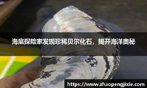 ok138太阳成集团官网