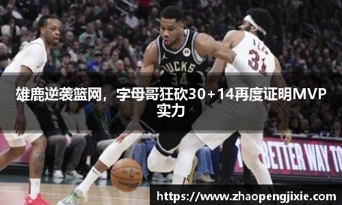 雄鹿逆袭篮网，字母哥狂砍30+14再度证明MVP实力