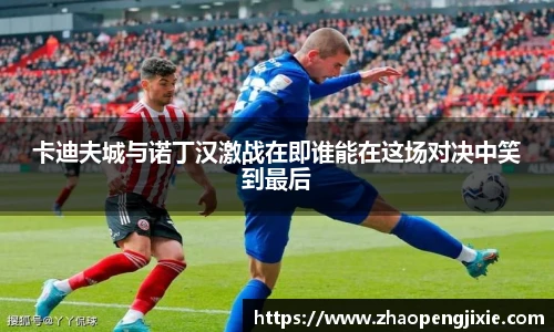 卡迪夫城与诺丁汉激战在即谁能在这场对决中笑到最后