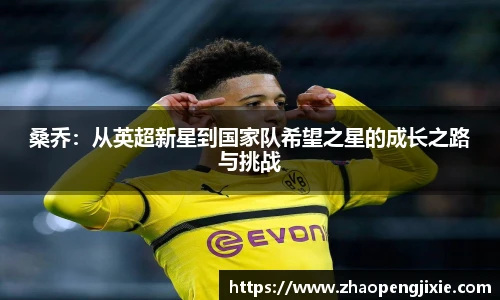 桑乔：从英超新星到国家队希望之星的成长之路与挑战