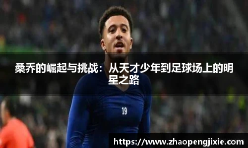 ok138太阳成